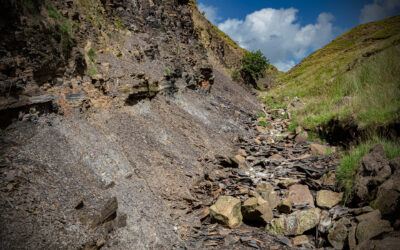 Porcelain From the Carboniferous Period