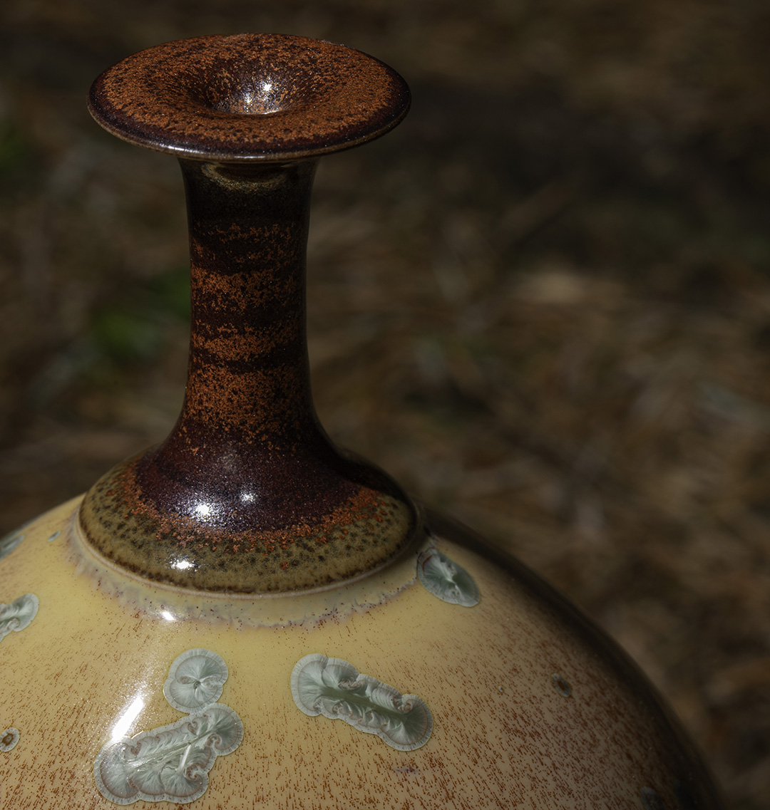 D1F_1080_neck_detail