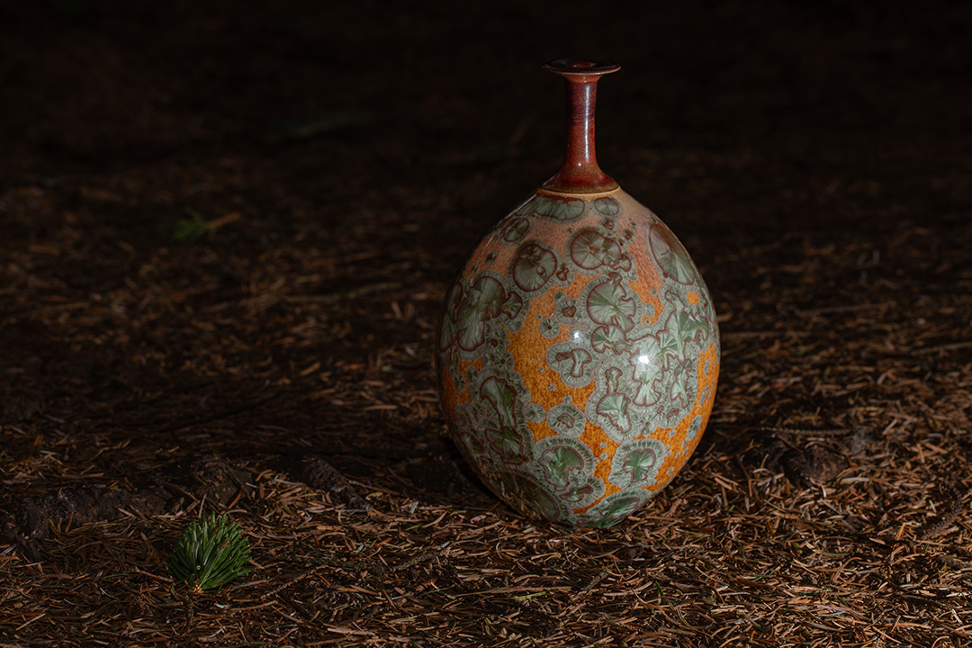 D1E_1080_landcape