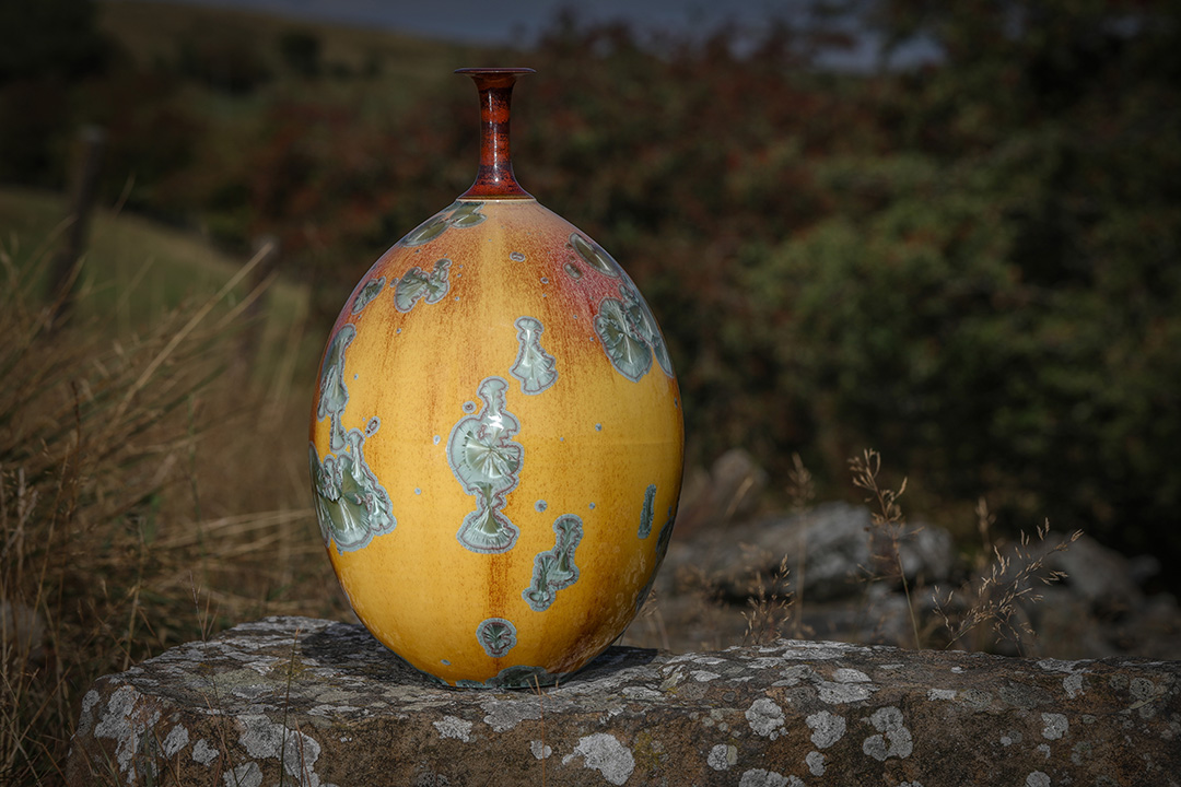 D1X_1080_landscape